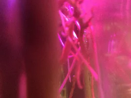 My Bog Filters