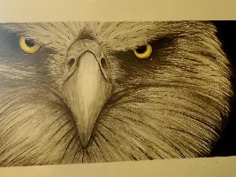 Art I've Been Doing for Sale