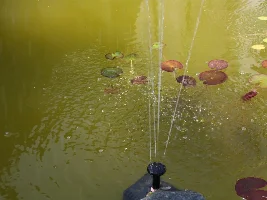 Pond fountain