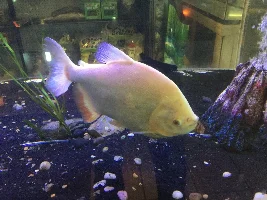 Is this normal?