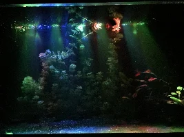 New night lights