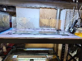 Slimmed Down Fish Room Journal