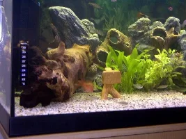 New 160L Tank
