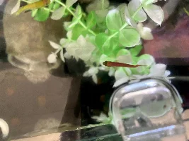 Hi there!