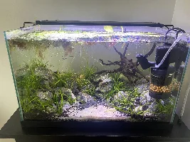 First tank - used, planted.