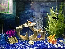 Endlers Livebearers