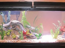 New 55 Gal...test Picture