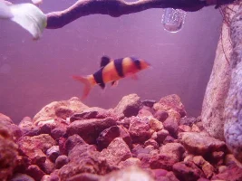 A few photos.
