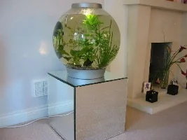 My Aquarium