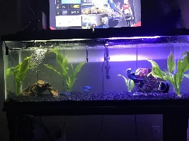 Please help, thank you.