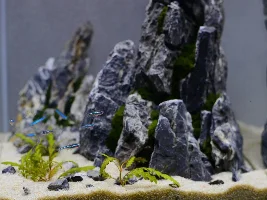 How to make 'Stone Peaks' layout - Step By Step Aquascaping Tutorial