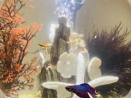 Argh! Fish nightmare