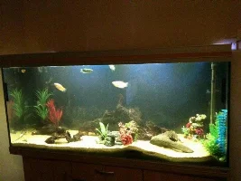 450Ltr Rena Tank With Cabinet