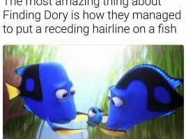 Daily Memes [Aquatic and non-Aquatic Memes]