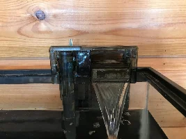 10 gallon planted Dwarf Rasbora journal