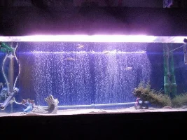 170L, Gotta Start Somewhere