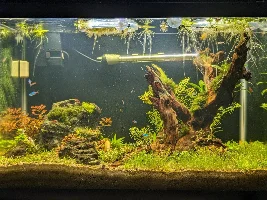 20G Ecosystem dirted offshoot from 40G thread
