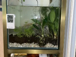 Saw some space! Started a planted tank! Never swore so much in my life 😂😂