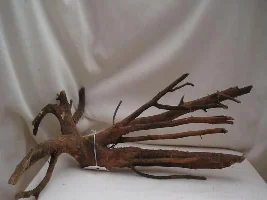 Large Sumatran Wood For Sale