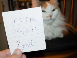 March 2014 - Pet Of The Month Comp Entries