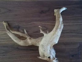 I found wood, FINALLY!!!