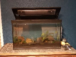 New-ish to tropicals.