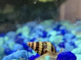 KINDLY POST A FISH OF YOURS