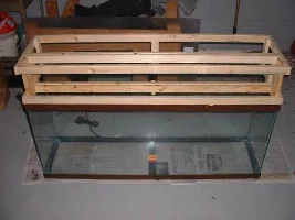 55g Discus Tank Progress
