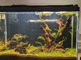 20G Ecosystem dirted offshoot from 40G thread