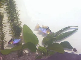 My 14 Gallon