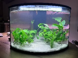 6 gallon ADF tank
