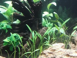 My journey into the nano world