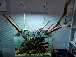 Fish Store Pictures