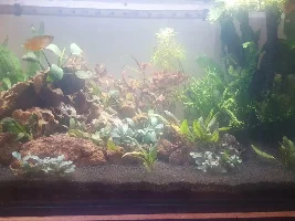 Help on stocking