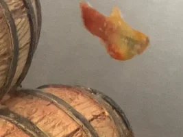 Platy looks unwell - help please!