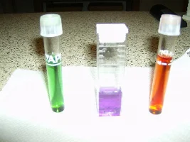 Do I Need To Add More Ammonia