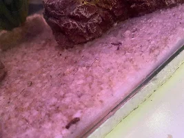 Help! What is this?!