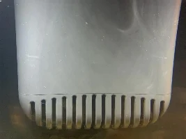 Help! White particles on top of water, cycling new tank