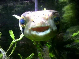 Went To Bristol Zoo