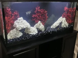 Hello!