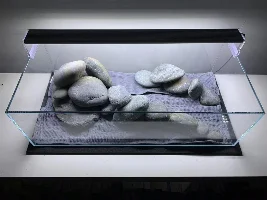 ADA 60F low tech