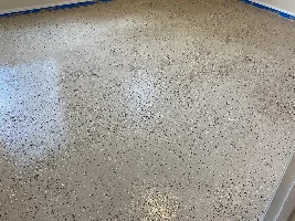 Building a Betta Room