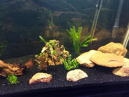 125 gallon South American community progress
