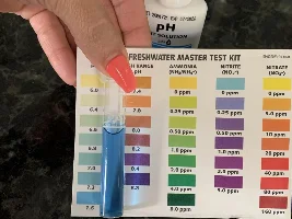 Ammonia level won’t go down. Please help
