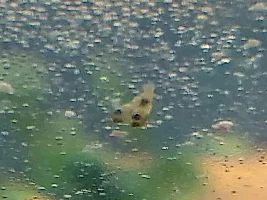 Has anyone seen anything like this before?