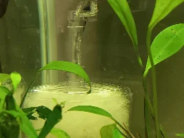 Polyfil in a box filter question