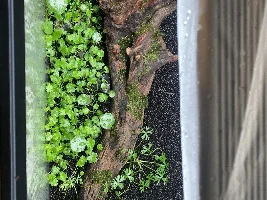 Flooded the dry start tank today- pretty happy with it