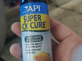 Ick treatment bad for cory?