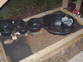 started a pond