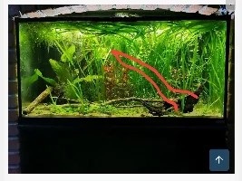 50g Re-scape help